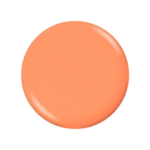 CNC1184 - PUMPKIN SPICE